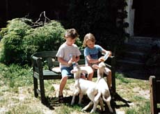 Biehlerhof Biehlerhof