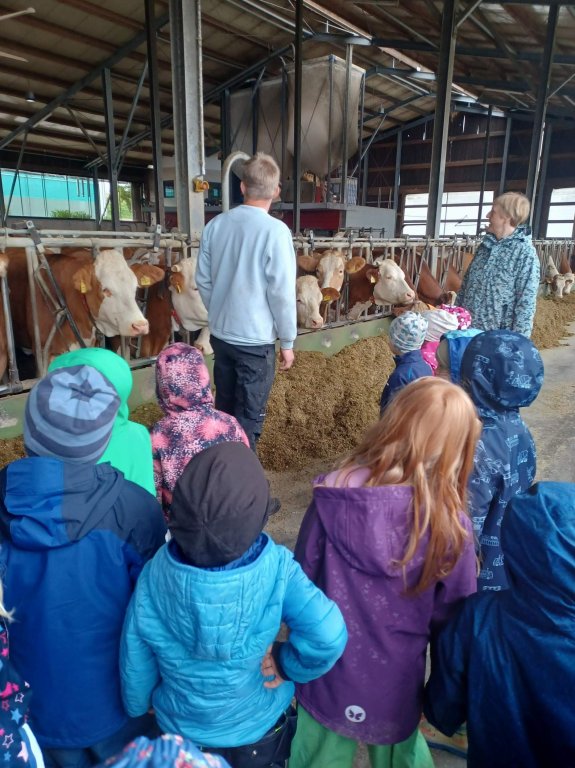 Kindergartenkinder erkunden Bauernhof Kindergartenkinder erkunden Bauernhof