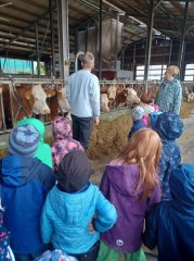Kindergartenkinder erkunden Bauernhof