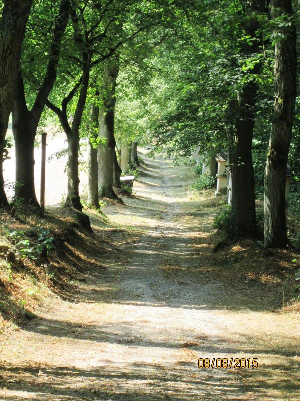 Kreuzweg am Kalvarienberg (18 / 25 / HTu)