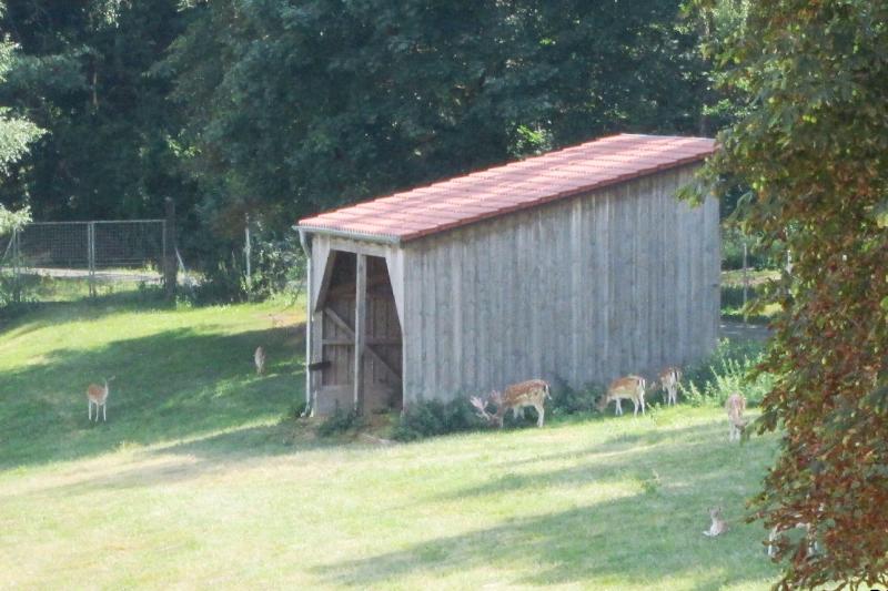 Rehgehege Rödlas (HTu)